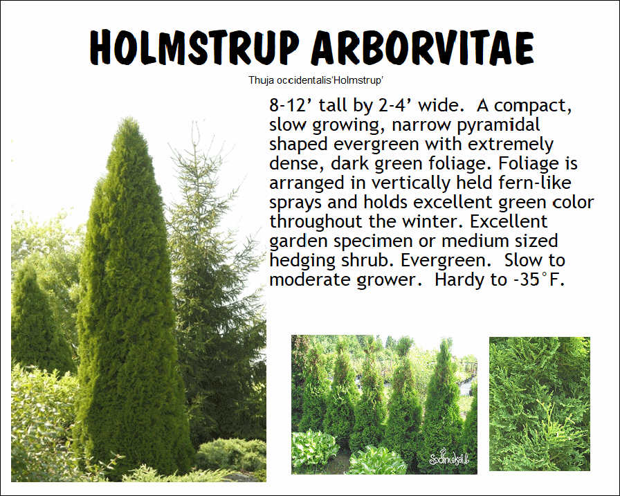 Holmstrup